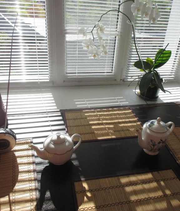 Pyatigorsk Apartment | Apartament U Reki