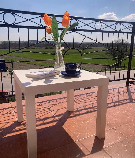 gmina Szczebrzeszyn Bed & Breakfast | Apartament Villa Olivia