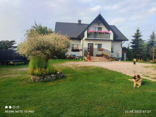 Wizajny Apartment | Apartament w Oklinach