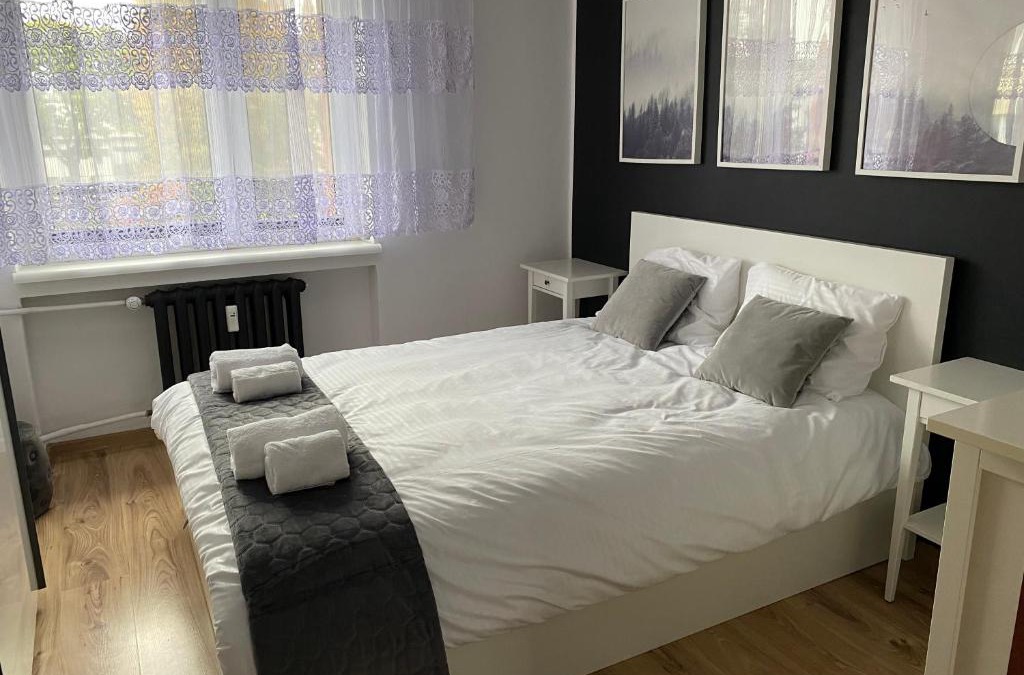 Dabrowa Gornicza Apartment | Apartament w samym centrum!
