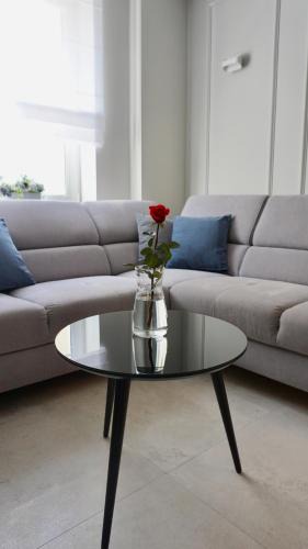 Opole Apartment | Apartament w samym sercu Opola 2