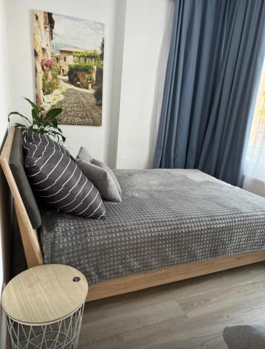 Legnica Apartment | Apartament WITELONA