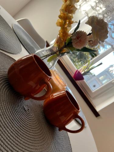 Jaworzyna Slaska Apartment | Apartament Wolności