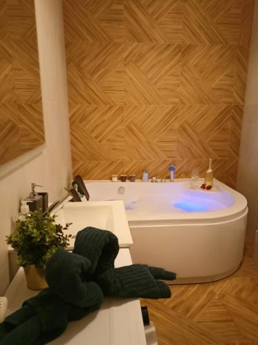 Radom Apartment | Apartament z Sauna i Jacuzzi