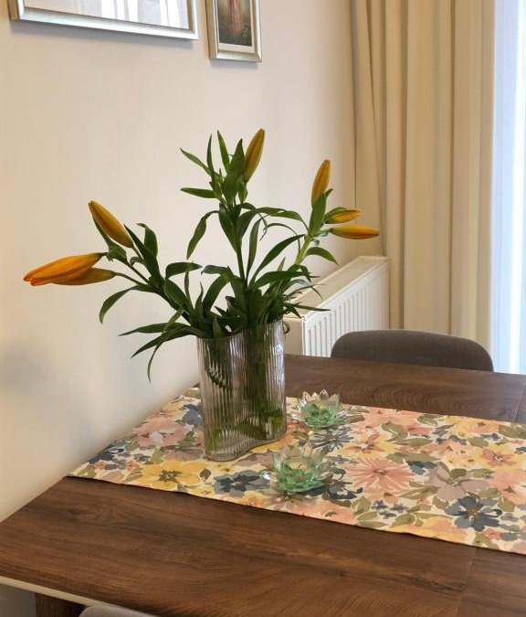 Olsztyn Apartment | Apartament Zielony Zakątek