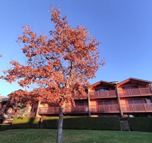Sainte-Leocadie Apartment | Apartamento con piscina en Santa Leocadia