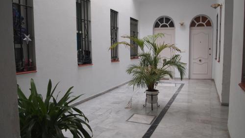 Triana Apartment | Apartamento Corazón de Triana