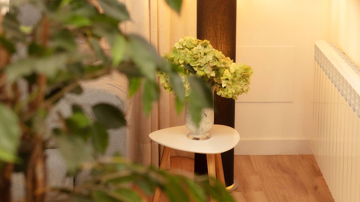 Zamora Apartment | Apartamento en Pleno Centro del Casco Histórico de Zamora .plaza de Garaje