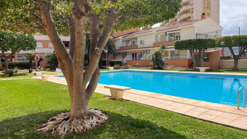 Grau i Platja Apartment | Apartamento PARADISE Solo Familias