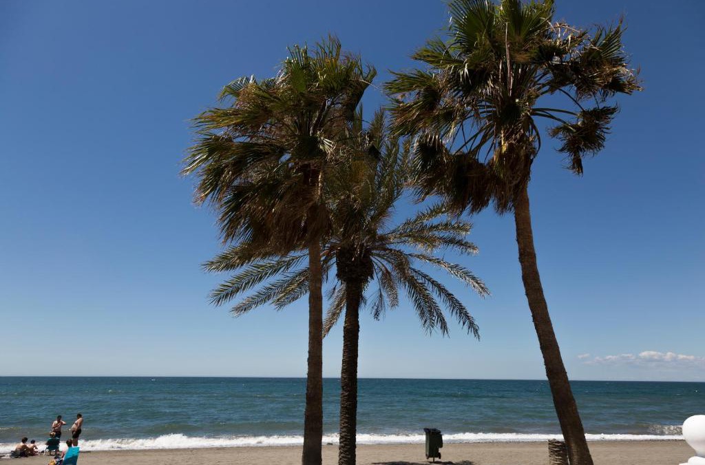 Rio Velez Apartment | Apartamento Solárium