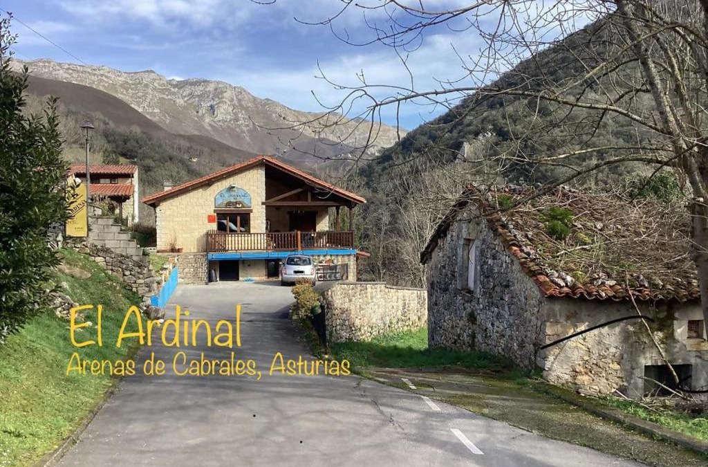 Arenas de Cabrales Apartment | Apartamentos El Ardinal