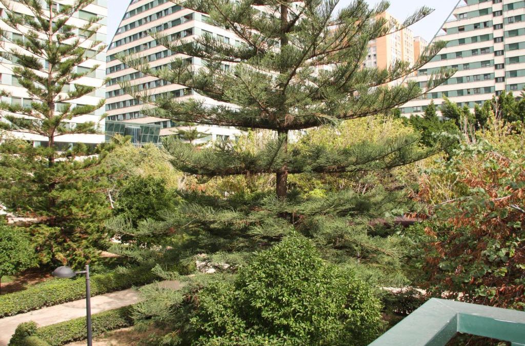 Ciutat de les Arts i les Ciencies Apartment | Apartamentos Las Ciencias D