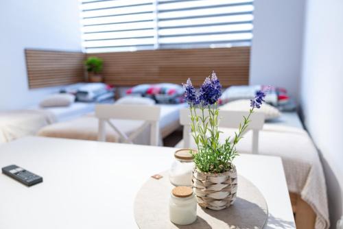 Boguszow-Gorce Apartment | Apartamenty 592 2