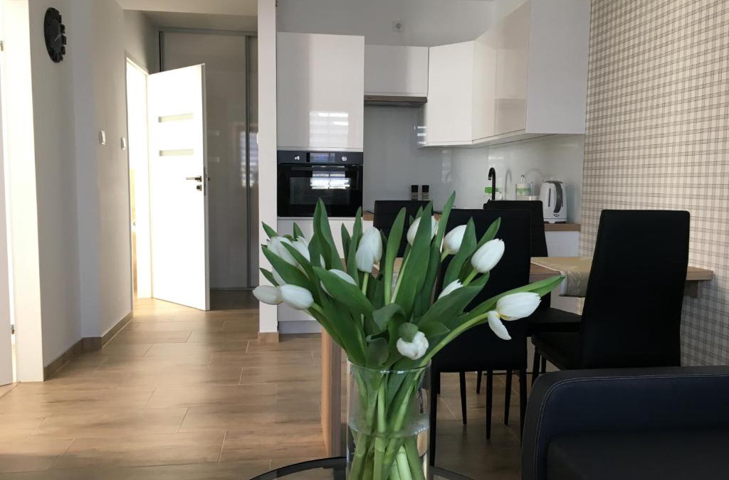 Czestochowa Apartment | Apartamenty AP 8