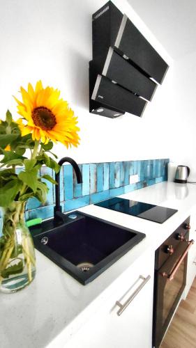 Charzykowy Apartment | APARTAMENTY Charzykowy