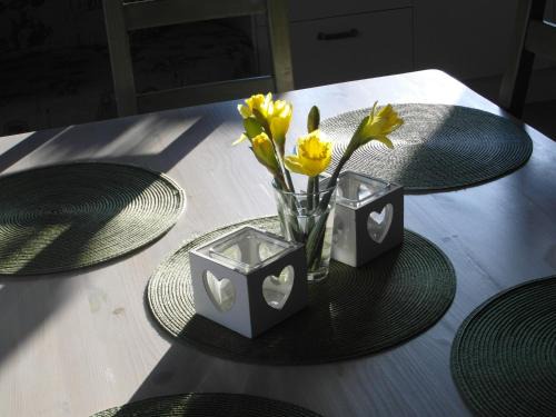 Nieporet Apartment | Apartamenty Nad Zalewem