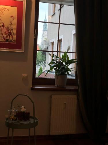 Czestochowa Apartment | Apartamenty pod Jasną Górą