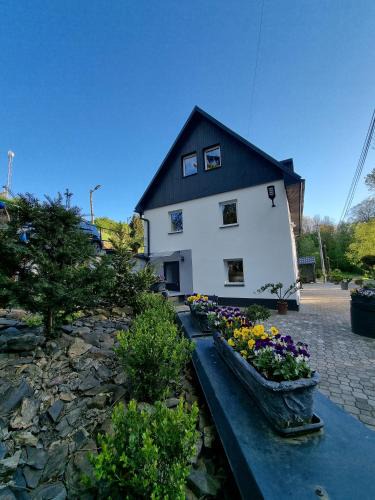Klodzko Miasto Apartment | Apartamenty Salamandra