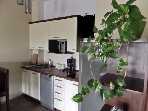 Mokotow Apartment | Apartamenty Silver Premium