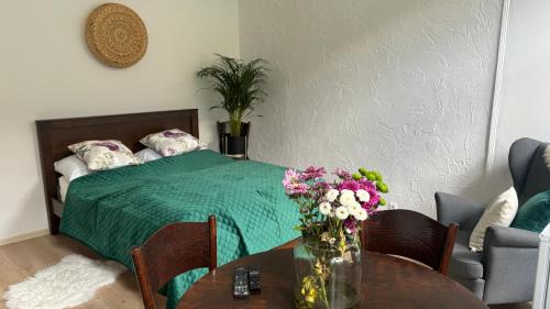Nowy Sacz Apartment | Apartamenty Stare Miasto Sobieski