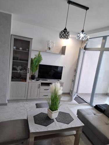 Charzykowy Apartment | Apartamenty Wanda
