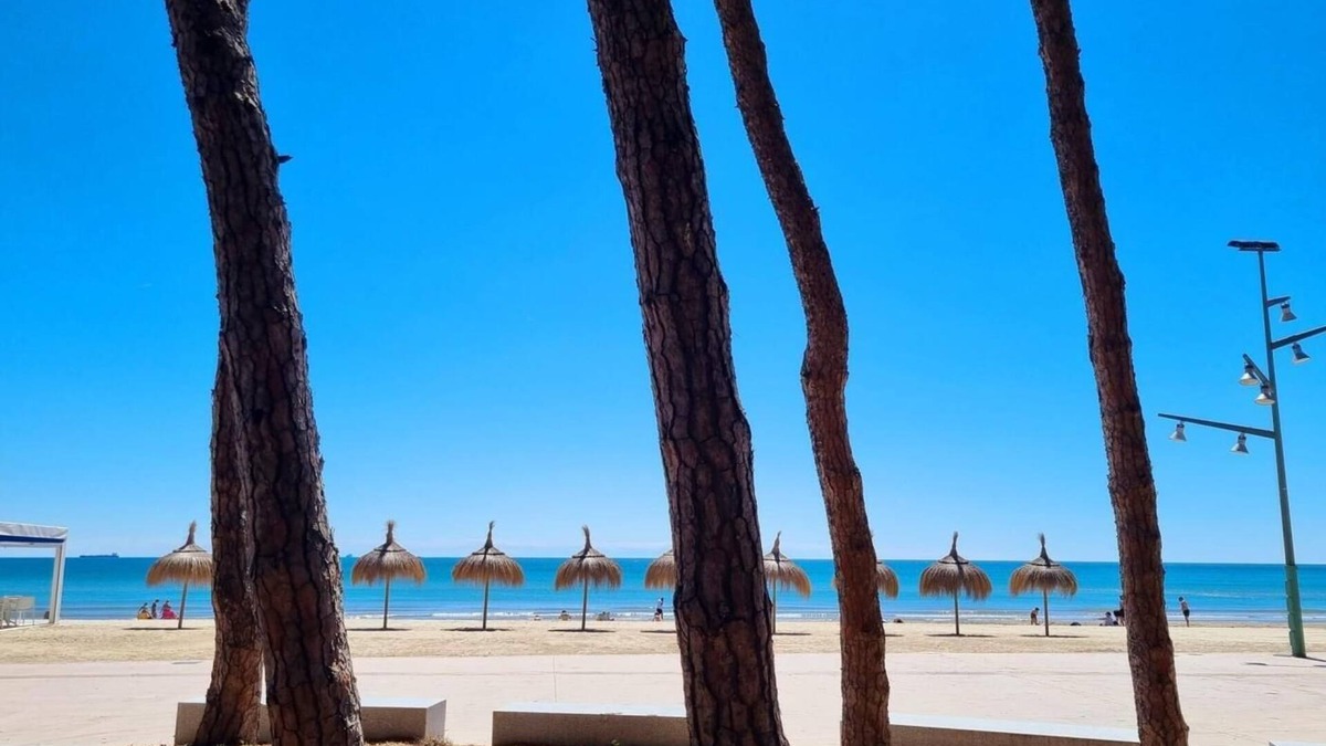 Riudoms Villa | APARTBEACH SYMBIOSIS AND EQUESTRIAN ACTIVITIES