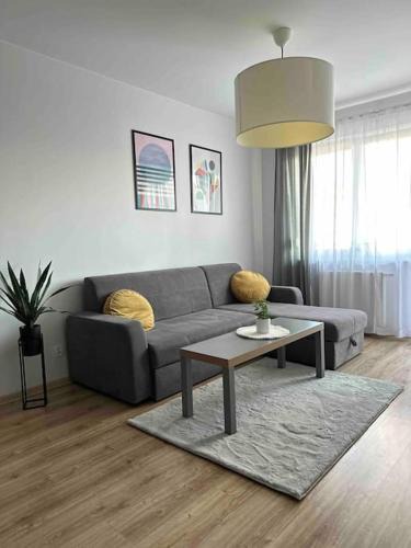 Torun Apartment | ApartBroniewskiego