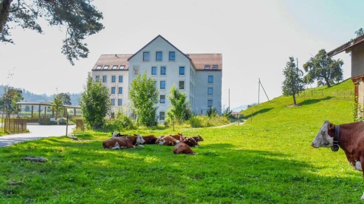 Alberswil Apartment | Aparthotel Luzern West
