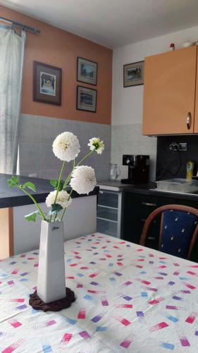 Zlin Apartment | Apartmán Úlehla