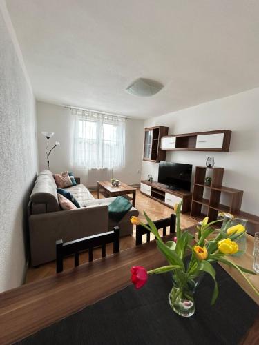 Frymburk Apartment | Apartmán Žižka
