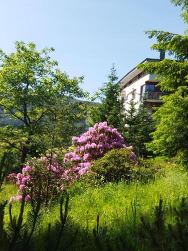 Spindleruv Mlyn Apartment | Apartmán 3K Michael