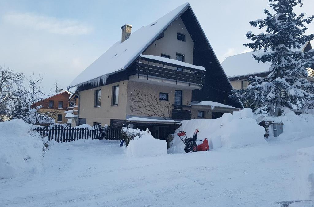 Vrchlabi Apartment | Apartmán Astomo