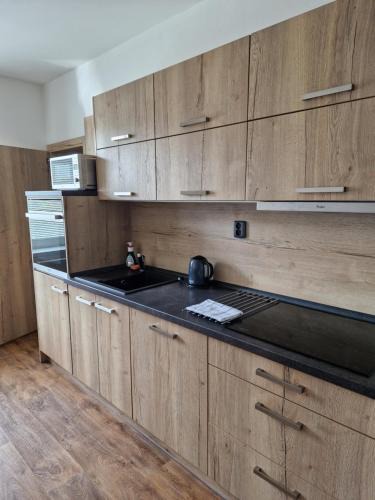 Ceska Lipa House | Apartmán Eliášova