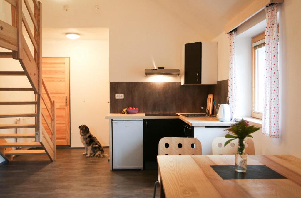 Jesenik Apartment | Apartmán Fydorka