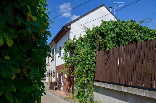 Moravska Nova Ves Apartment | Apartmán Hejč