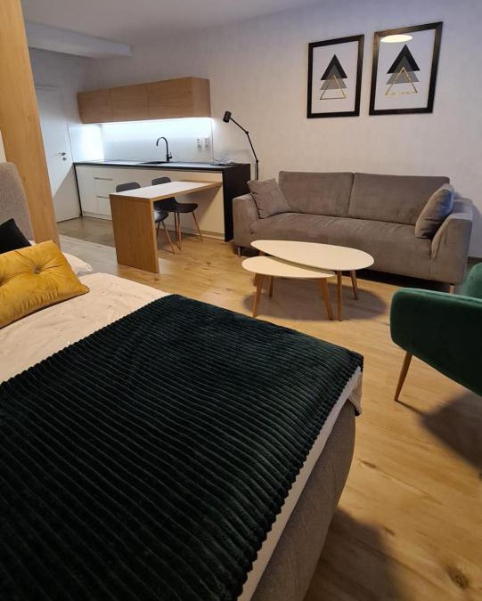 Rajecke Teplice Apartment | Apartmán Hestia 5