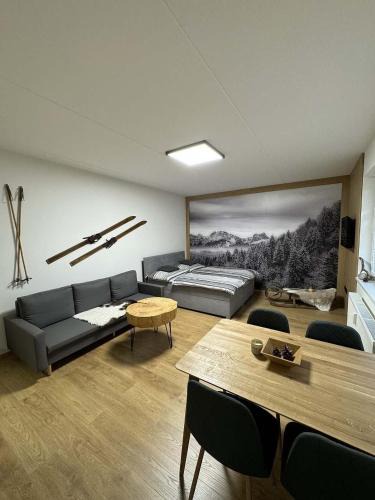 Janske Lazne Apartment | Apartmán Horálek