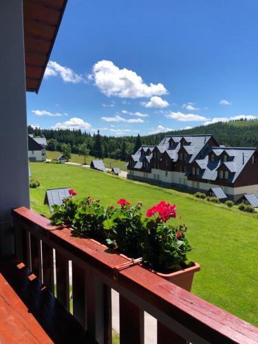 Vitkovice Apartment | Apartmán Horní Mísečky F11 - Horský svět