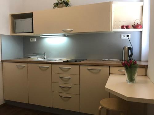 Zlin Apartment | Apartmán Innova