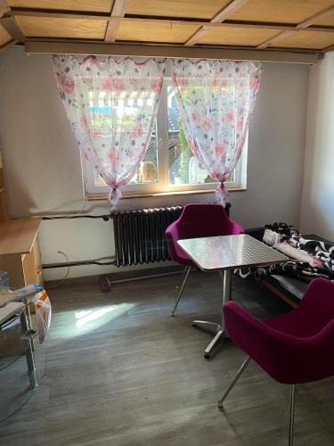 Stary Plzenec House | Apartmán K Lomu 960