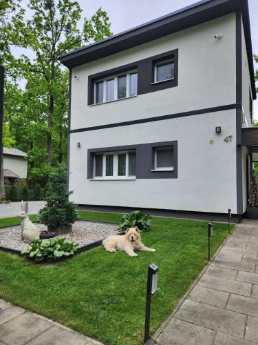 Sastin Apartment | Apartmán Kocka na prízemí