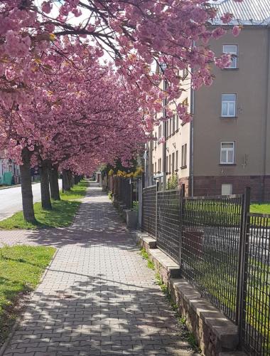 Nova Paka Apartment | Apartmán Kumburská - Nová Paka