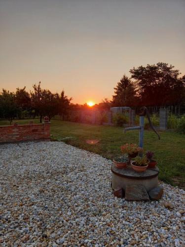 Lanzhot House | Apartmán Lanžhot