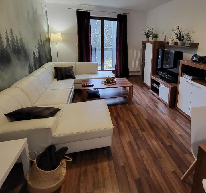 Lipno nad Vltavou Apartment | Apartmán Lipno 50