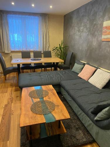 Orlicke Zahori Apartment | Apartmán Orlické hory