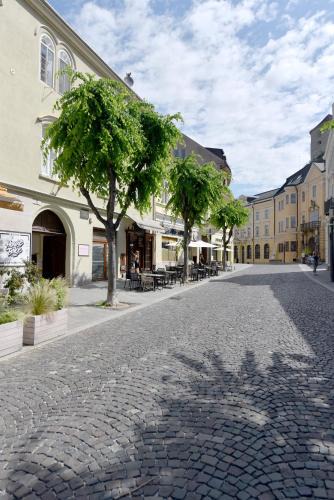 Trencin Apartment | Apartmán Palackého Free Parking