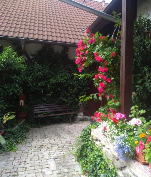 Sumavske Hostice Apartment | Apartmán pod Boubínem