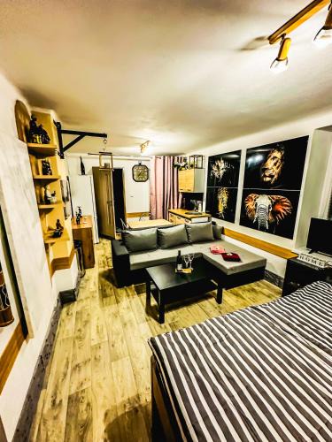 Horsovsky Tyn House | Apartmán Pod hradem