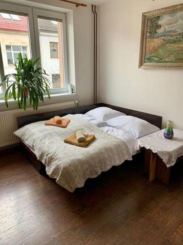 Zdar Nad Sazavou Apartment | Apartmán POD LAMPOU