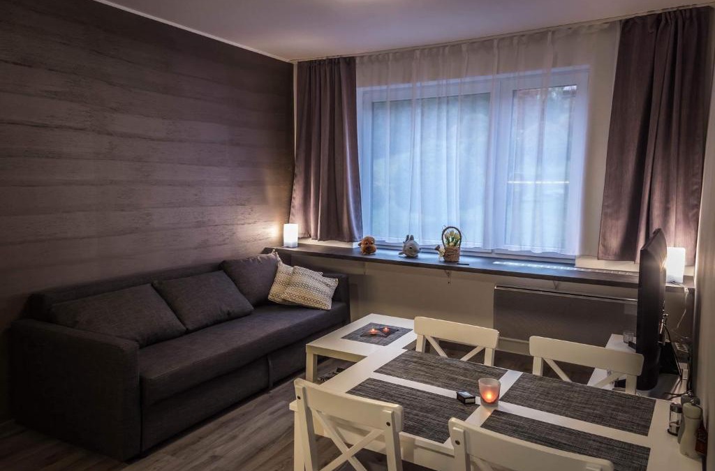Rokytnice nad Jizerou Apartment | Apartmán ROKY 6